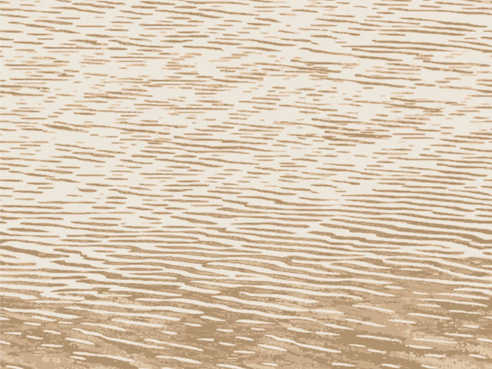 Casamance Exploration Côme - 71340252