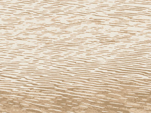 Casamance Exploration Côme - 71340252