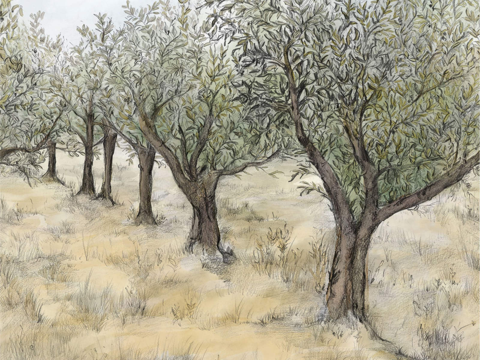 Casamance Panoramas 2 Lauris - 75631222