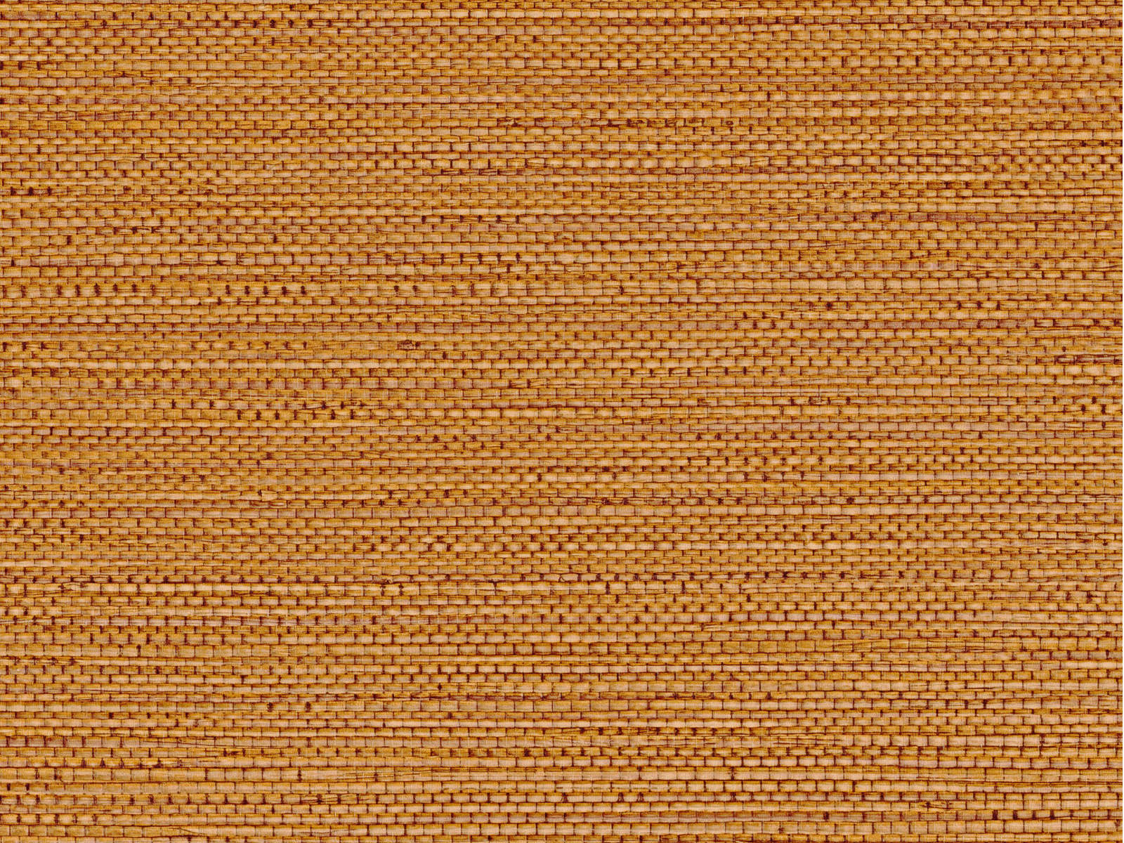 Casamance Golfe du Bengale Zostera - 75972038