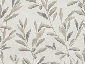 Coordonné Pompei Olivetum - B00633