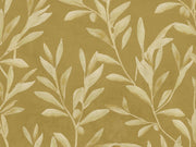 Coordonné Pompei Olivetum - B00635