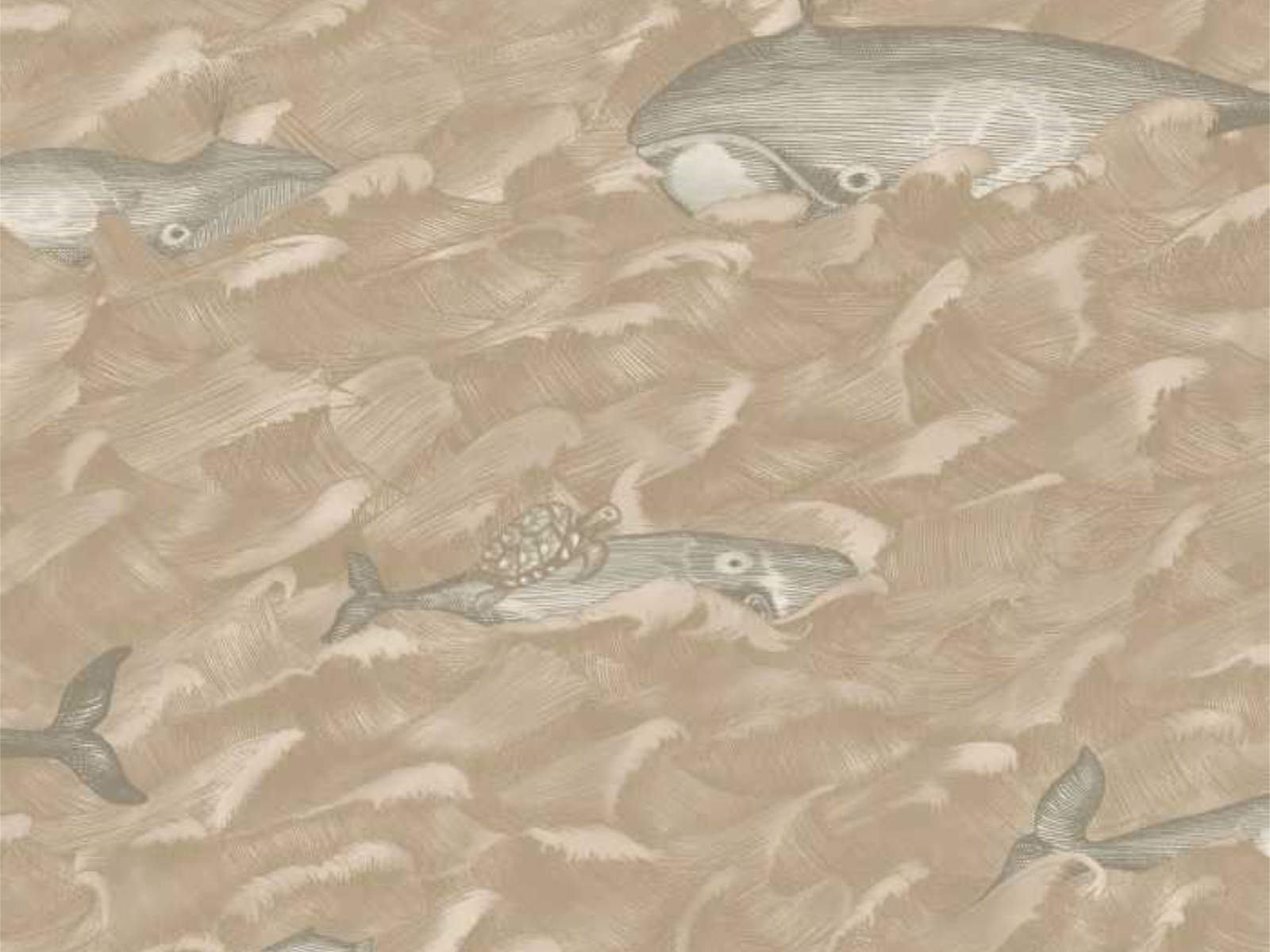 Cole & Son Whimsical Melville - 103/1002