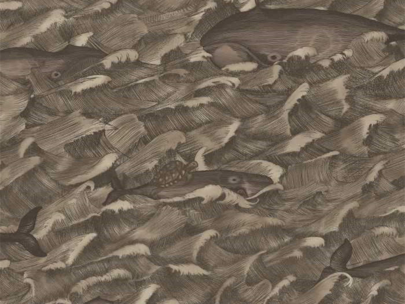 Cole & Son Whimsical Melville - 103/1005