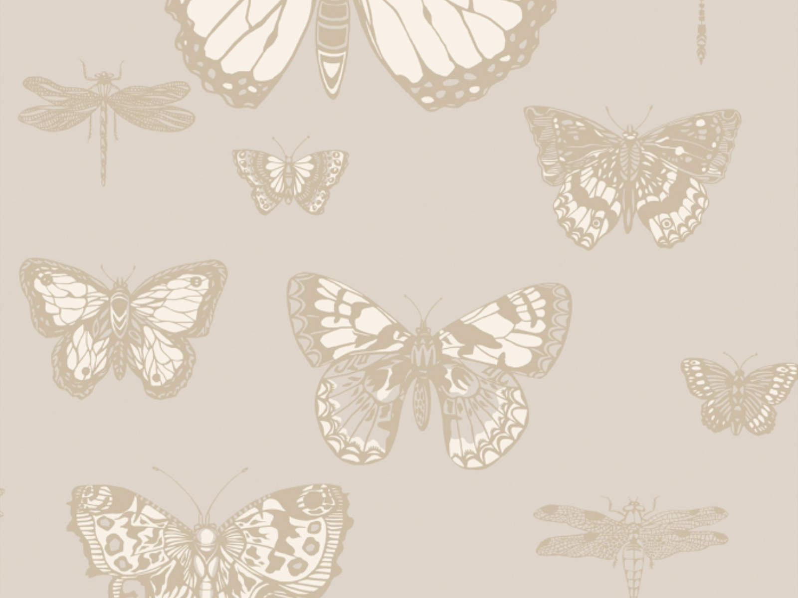 Cole & Son Whimsical Butterflies & Dragonflies - 103/15064