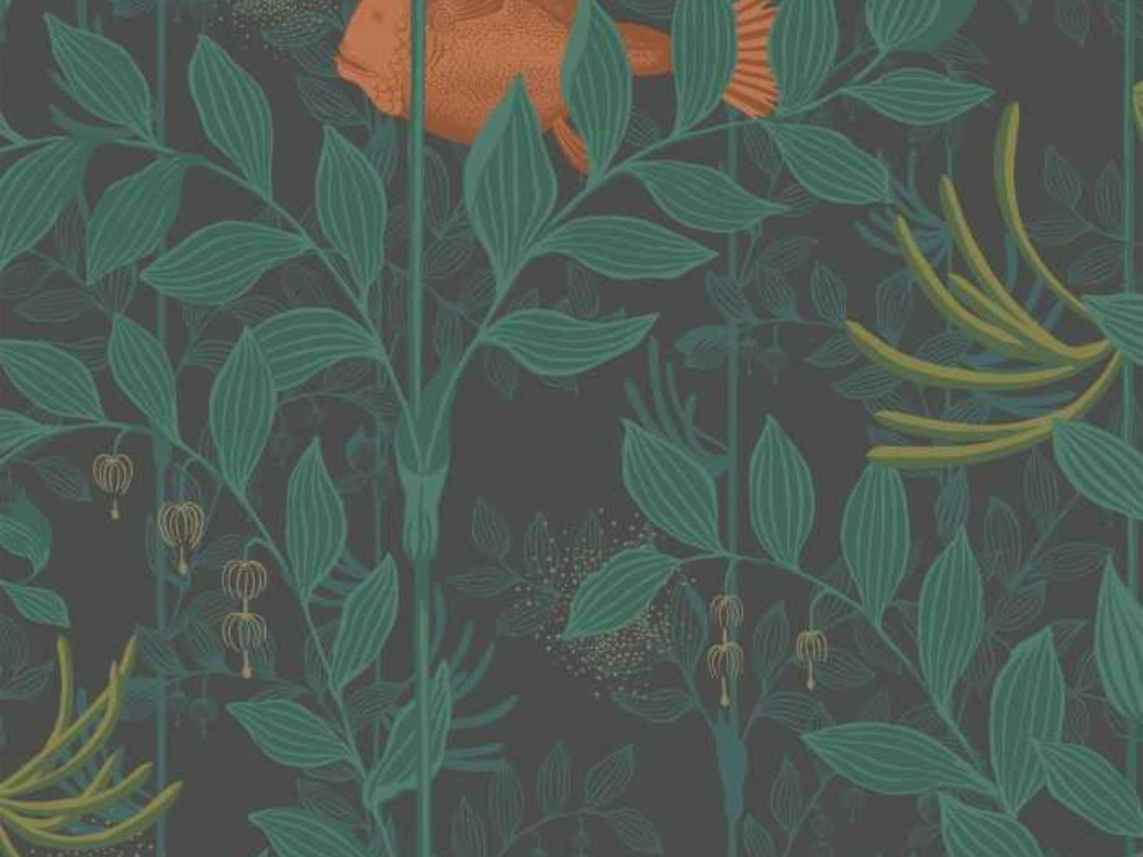 Cole & Son Whimsical Nautilus - 103/4019