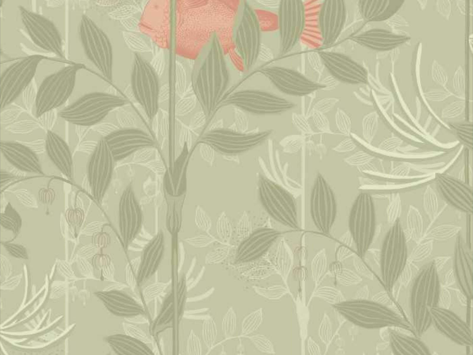 Cole & Son Whimsical Nautilus - 103/4020