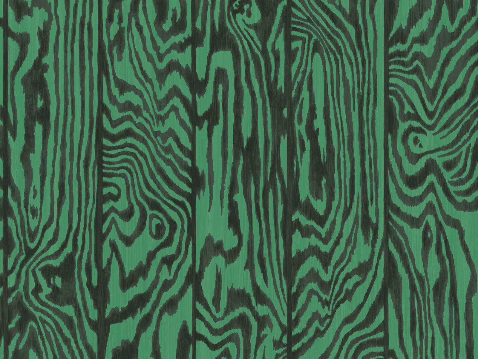 Cole & Son Curio Zebrawood - 107/1001