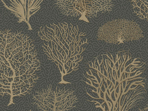 Cole & Son Curio Seafern - 107/2006