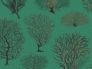 Cole & Son Curio Seafern - 107/2007