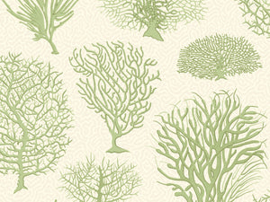 Cole & Son Curio Seafern - 107/2008
