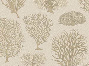 Cole & Son Curio Seafern - 107/2010