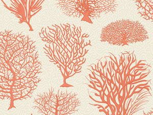 Cole & Son Curio Seafern - 107/2011