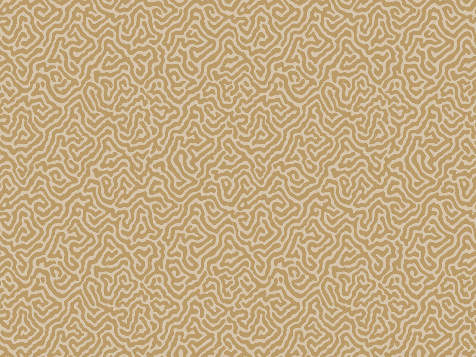 Cole & Son Curio Vermicelli - 107/4021