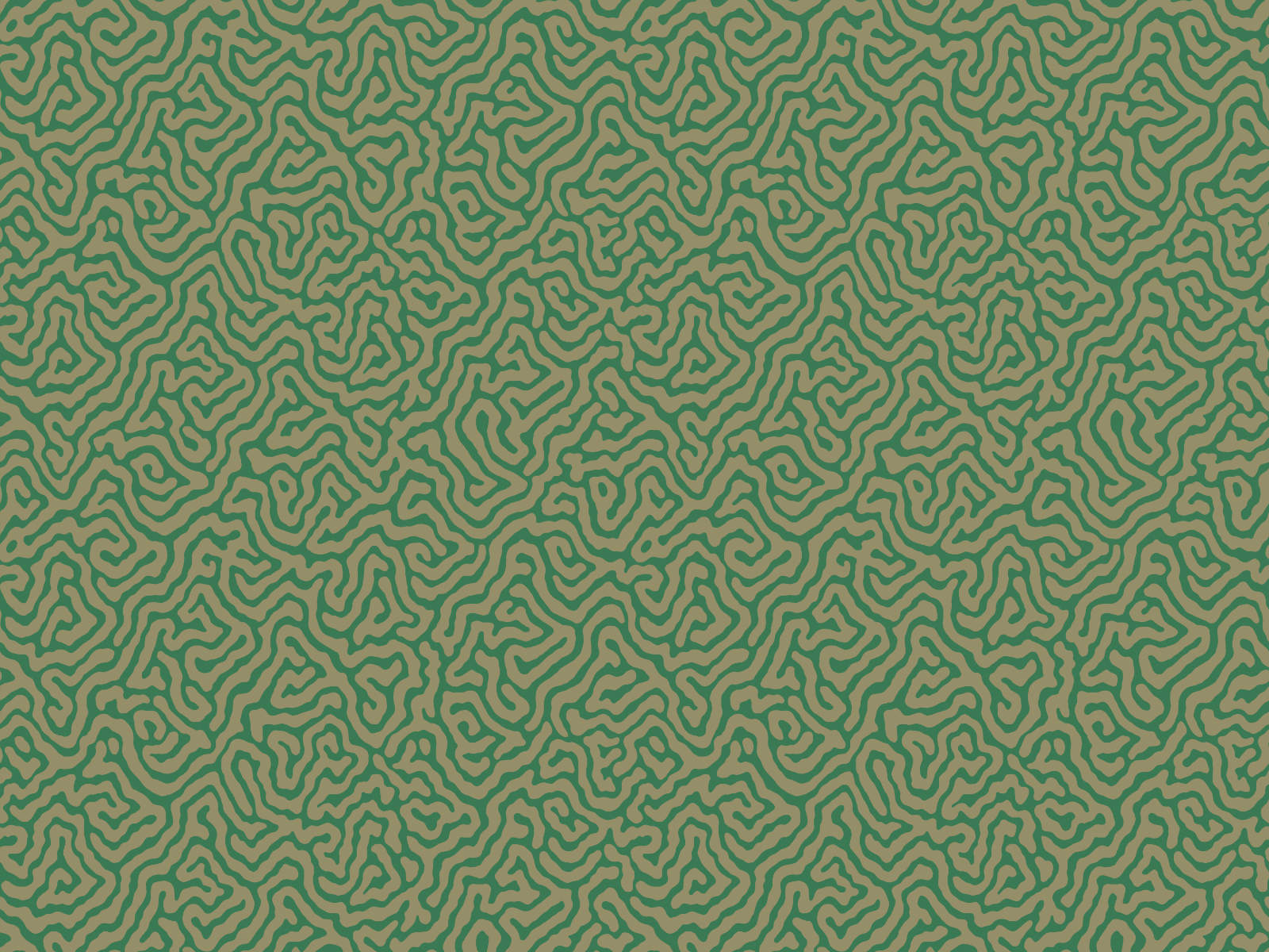 Cole & Son Curio Vermicelli - 107/4022