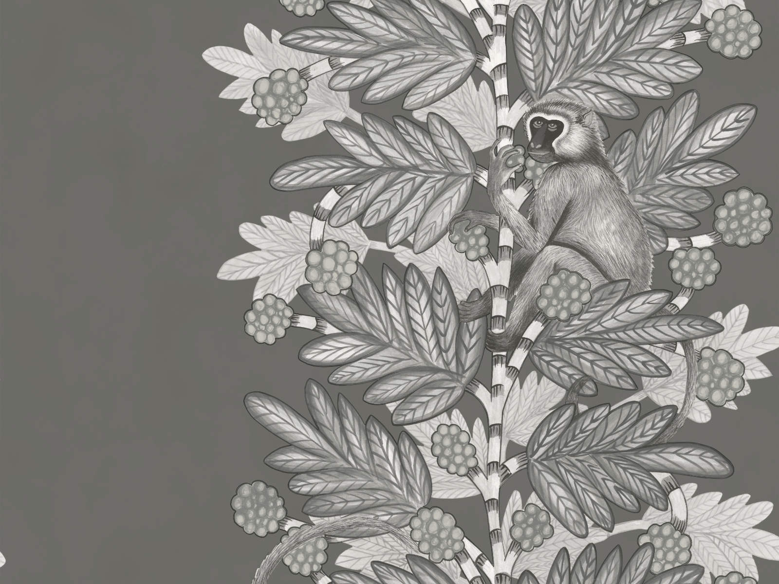 Cole & Son Ardmore Acacia - 109/11055