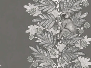 Cole & Son Ardmore Acacia - 109/11055