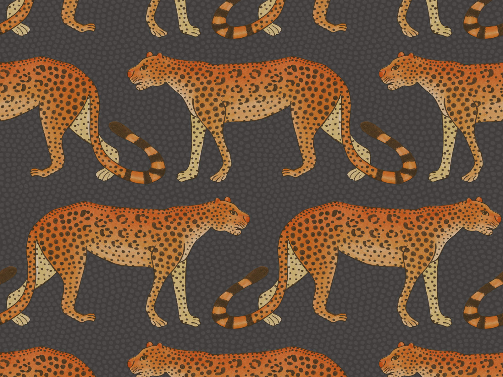 Cole & Son Ardmore Leopard Walk - 109/2008