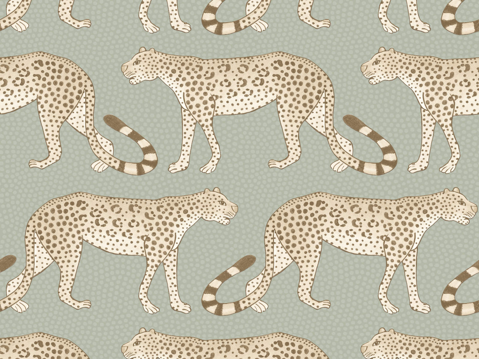 Cole & Son Ardmore Leopard Walk - 109/2009