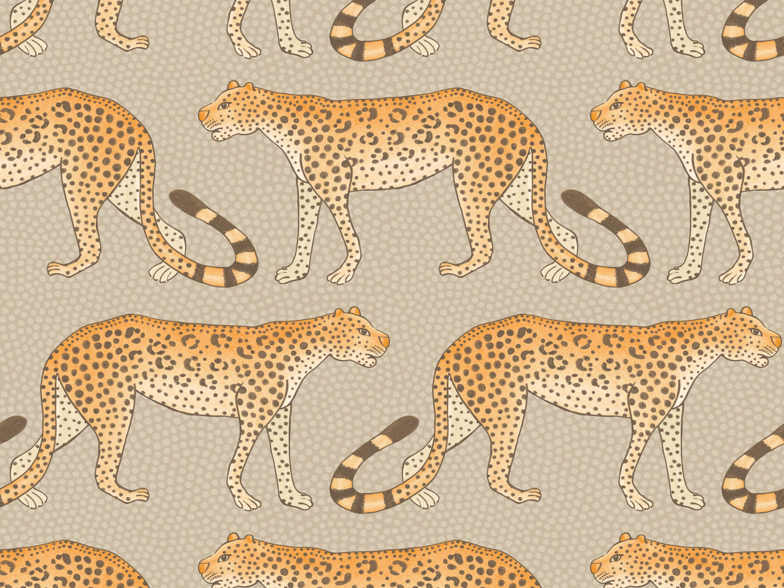 Cole & Son Ardmore Leopard Walk - 109/2010