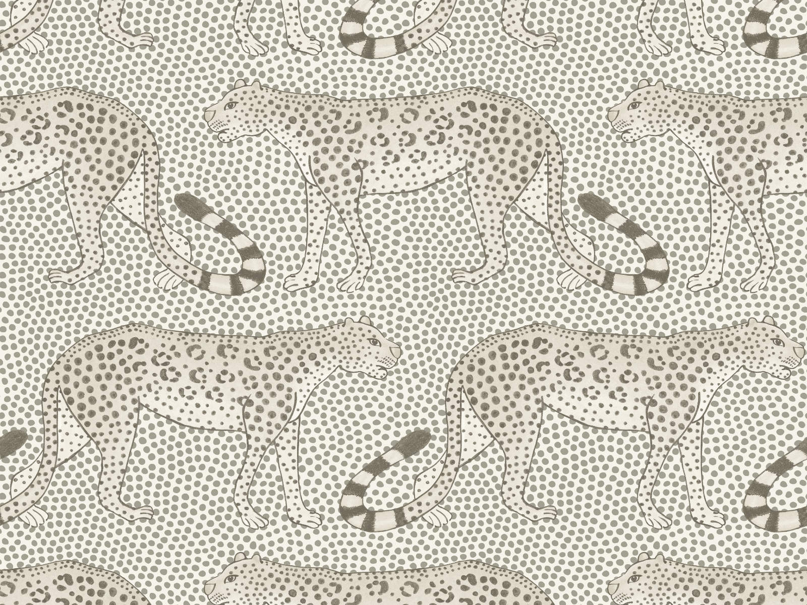 Cole & Son Ardmore Leopard Walk - 109/2011