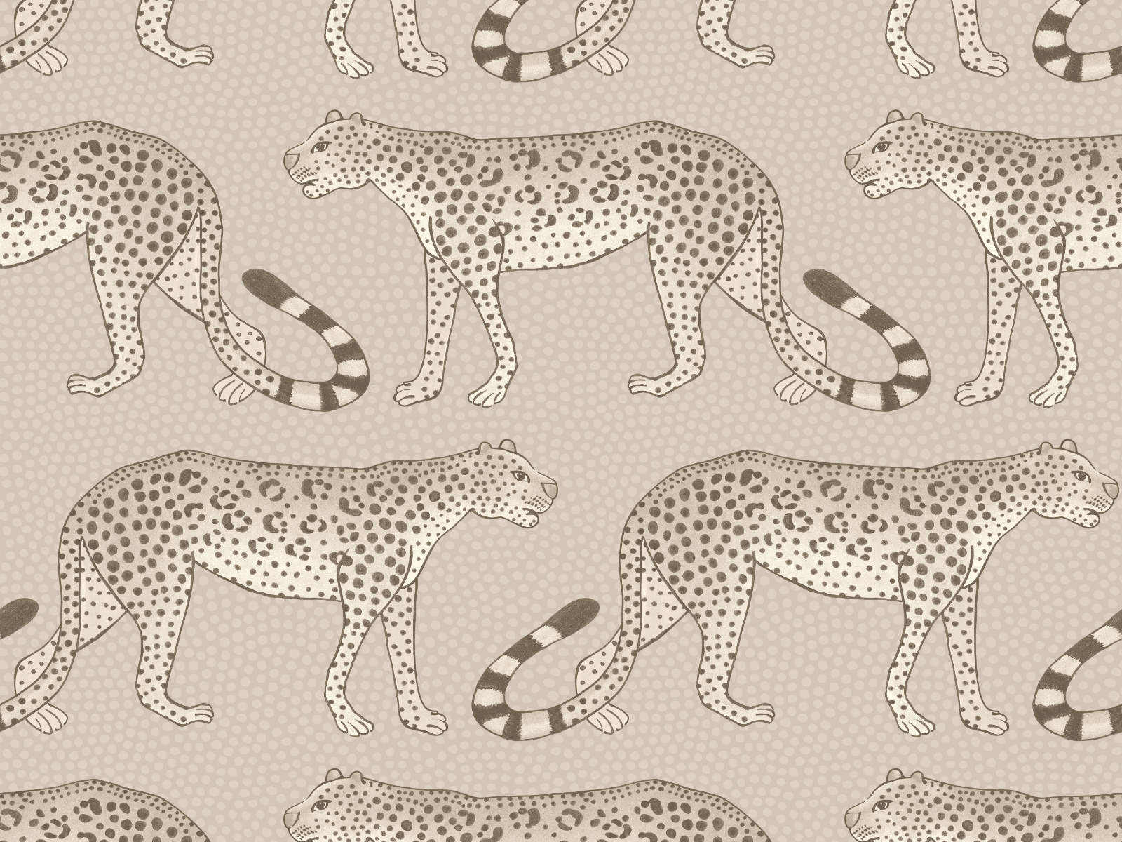 Cole & Son Ardmore Leopard Walk - 109/2012