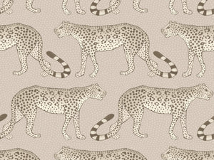 Cole & Son Ardmore Leopard Walk - 109/2012