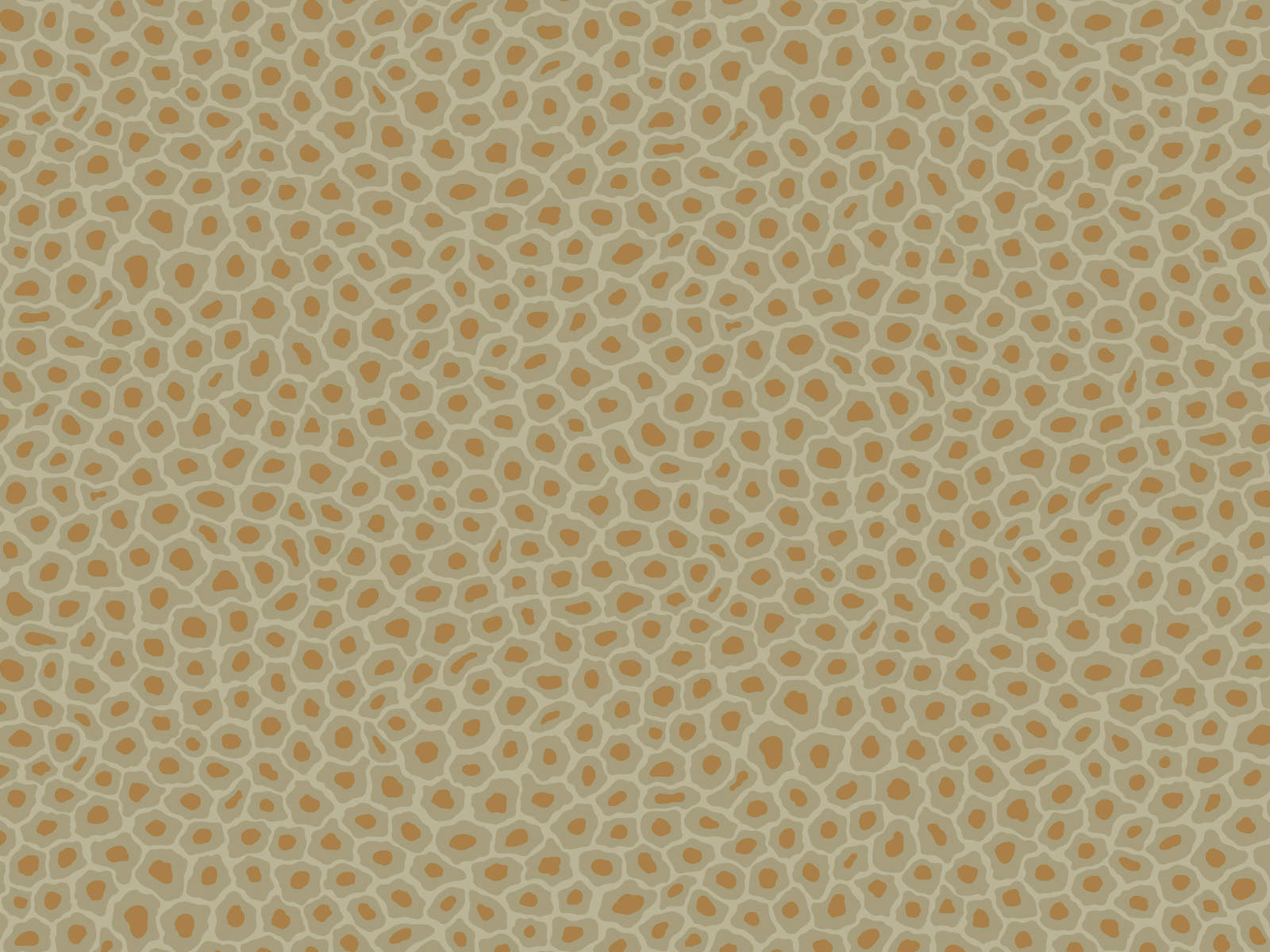 Cole & Son Ardmore Senzo Spot - 109/6029