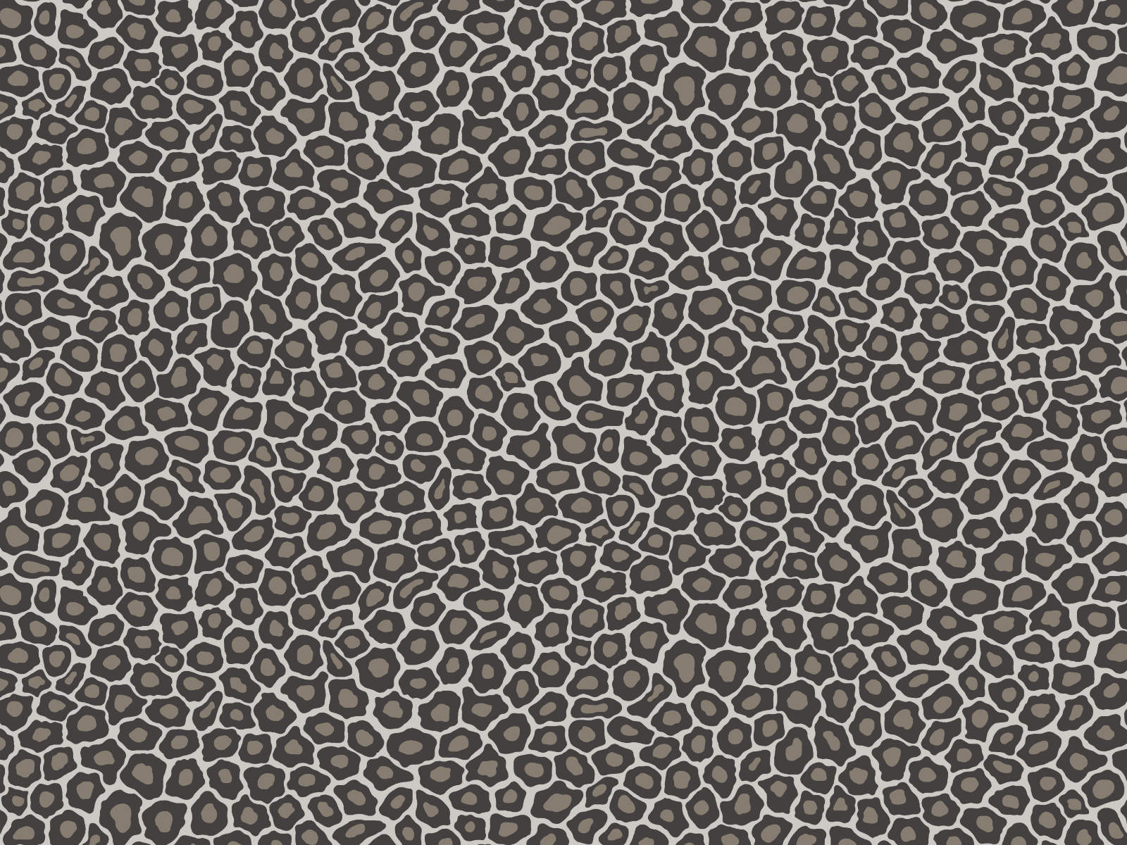 Cole & Son Ardmore Senzo Spot - 109/6031