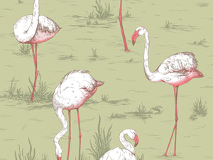 Cole & Son Icons Flamingos - 112/11038