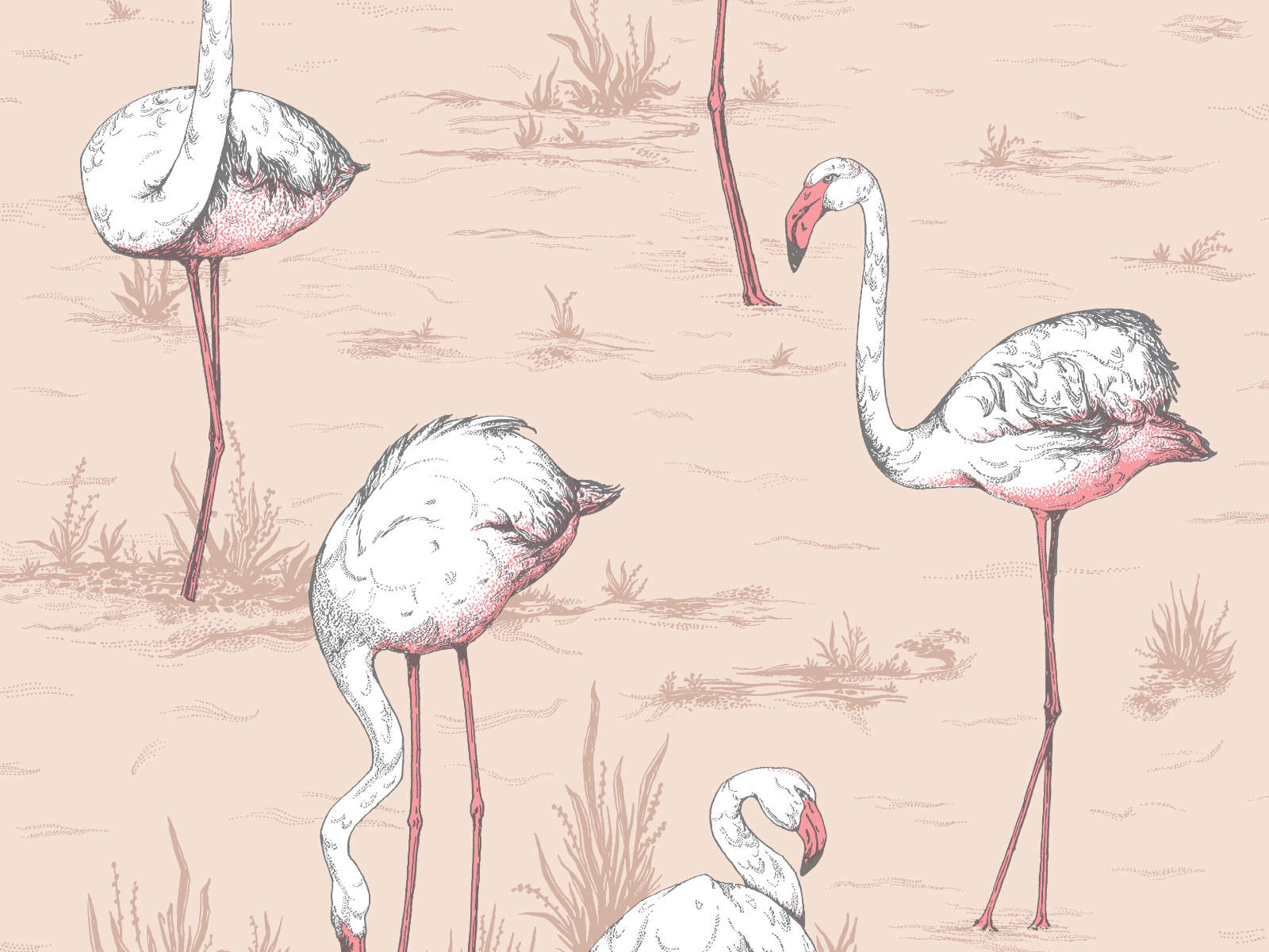 Cole & Son Icons Flamingos - 112/11039