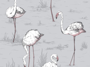 Cole & Son Icons Flamingos - 112/11040