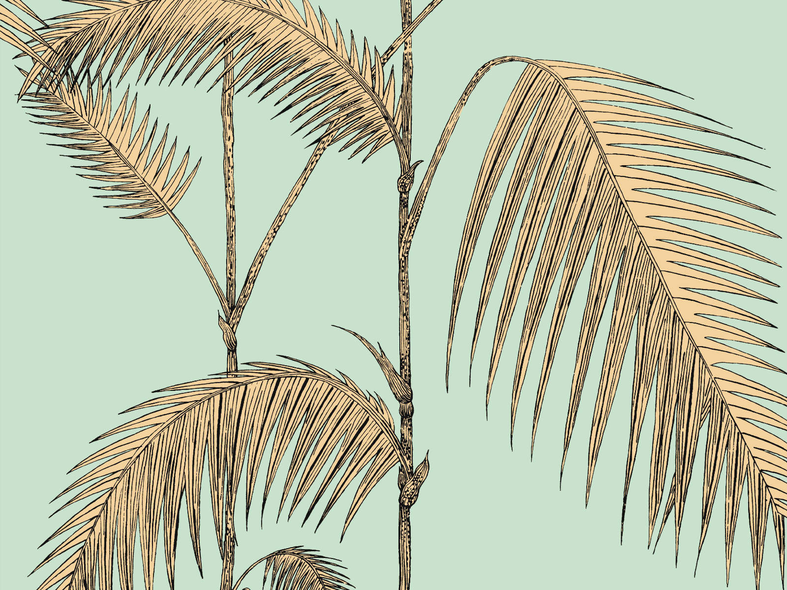 Cole & Son Icons Palm Leaves - 112/2006