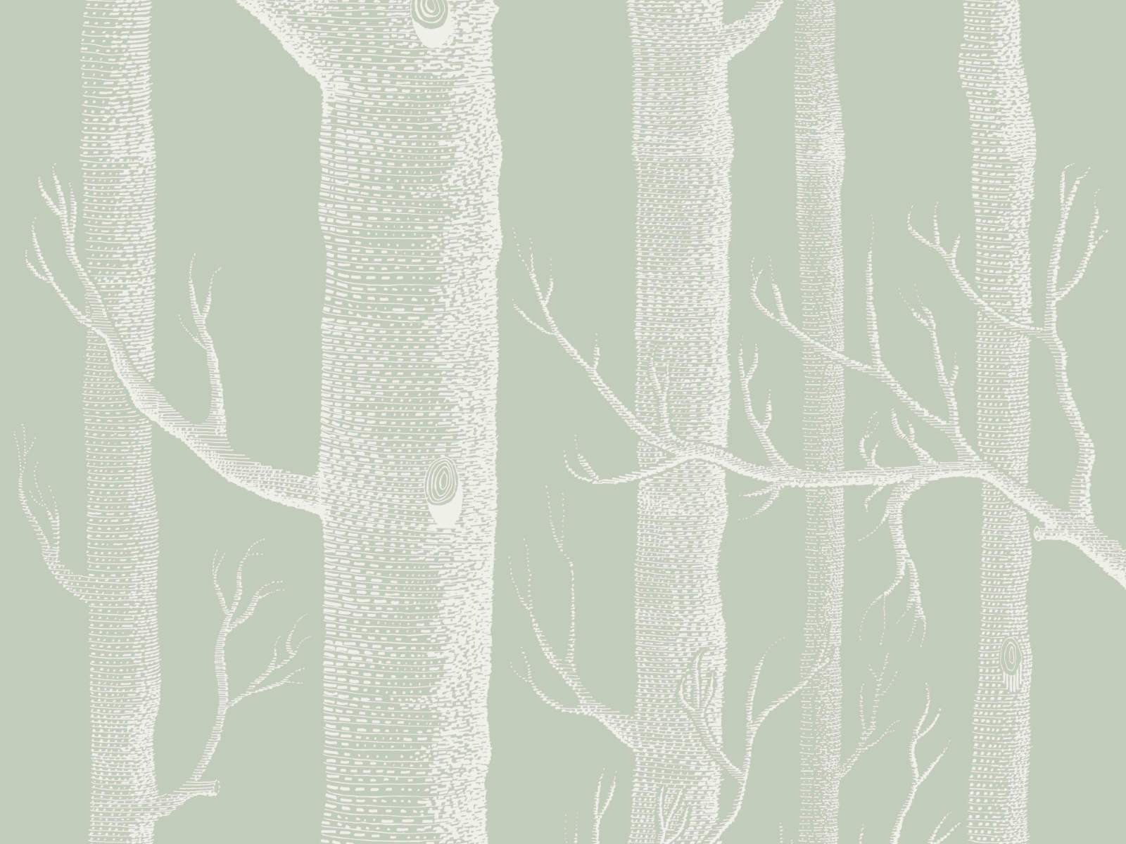 Cole & Son Icons Woods - 112/3013