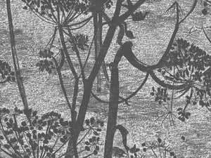 Cole & Son Icons Cow Parsley - 112/8026