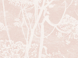 Cole & Son Icons Cow Parsley - 112/8028