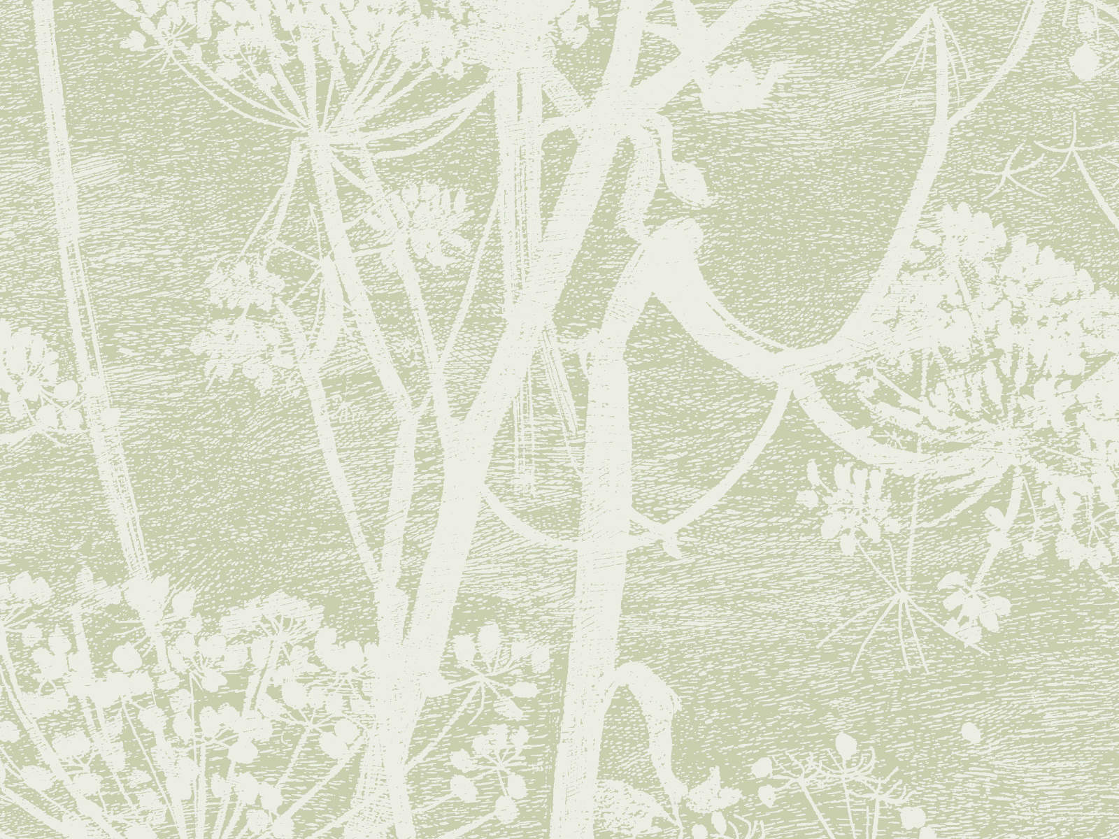 Cole & Son Icons Cow Parsley - 112/8029