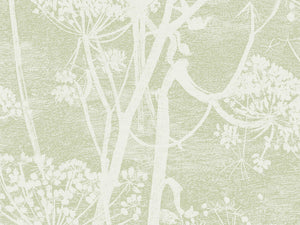 Cole & Son Icons Cow Parsley - 112/8029
