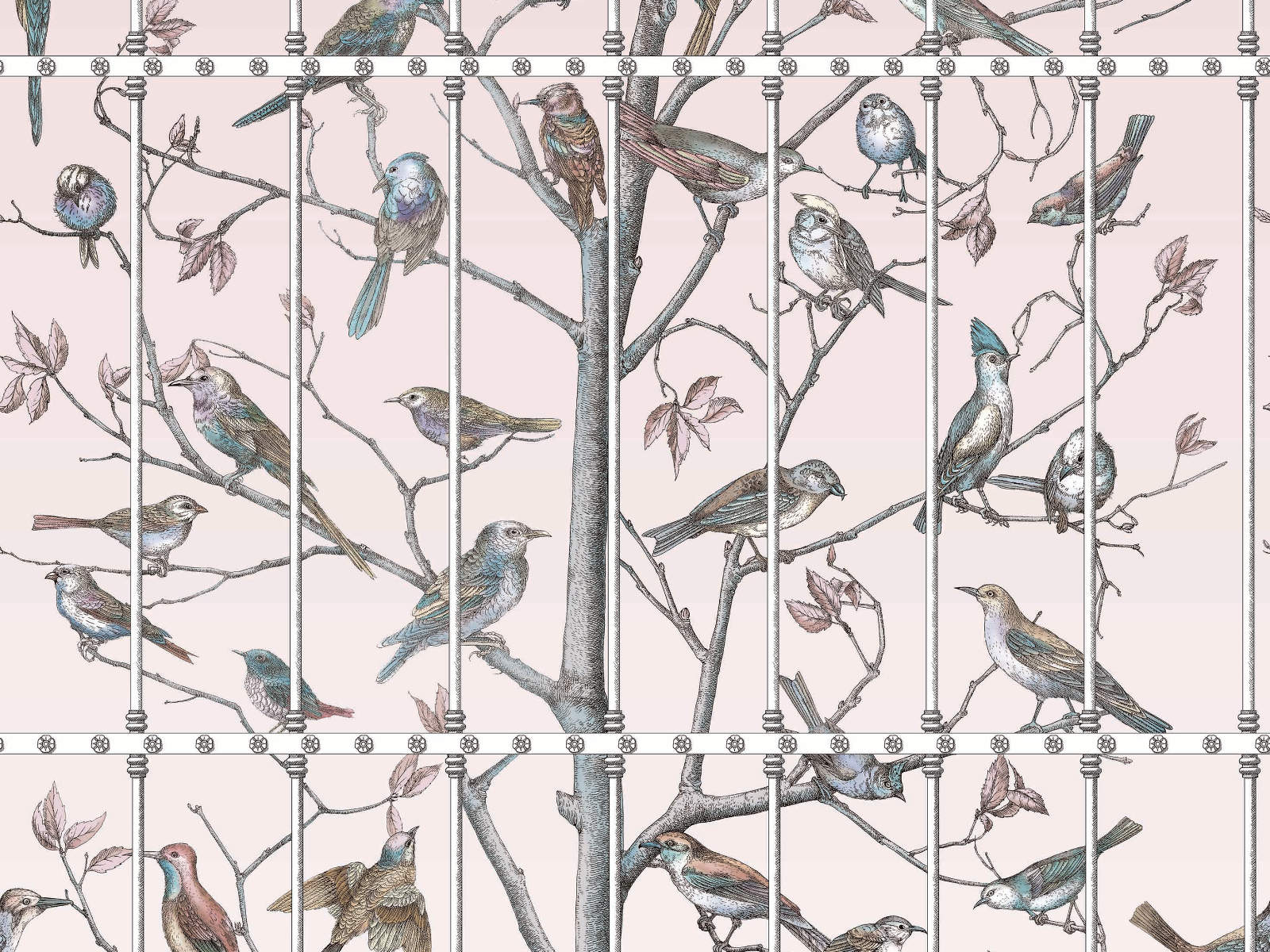 Cole & Son Fornasetti Senza Tempo Uccelli - 114/11022