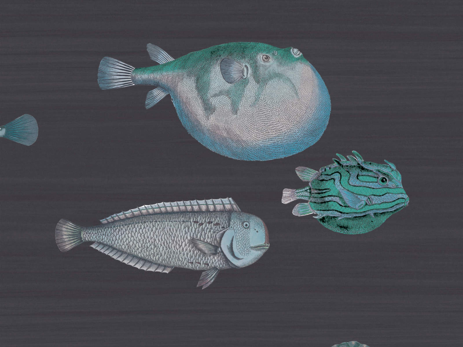 Cole & Son Fornasetti Senza Tempo Acquario - 114/16032