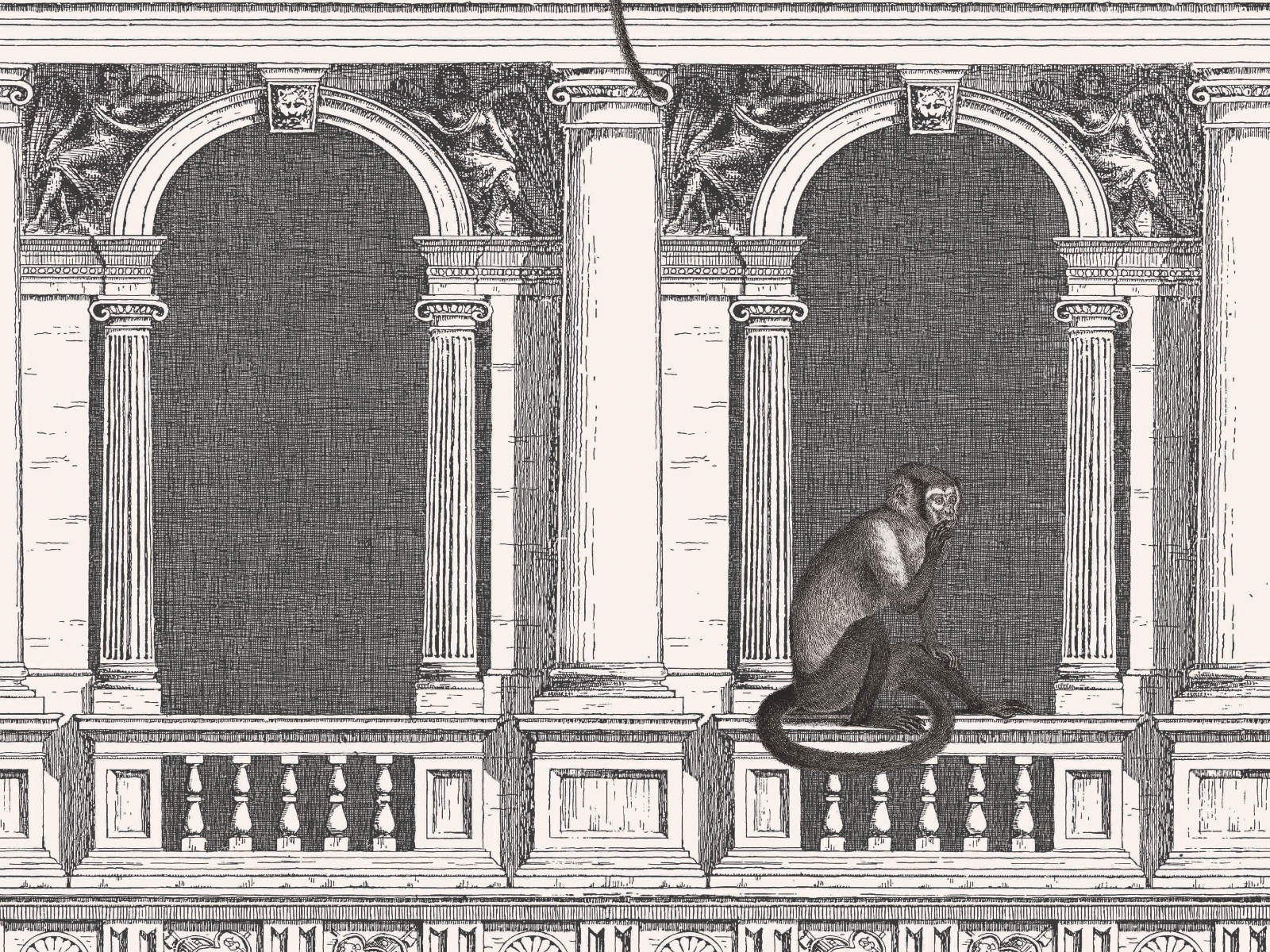 Cole & Son Fornasetti Senza Tempo Procuratie E Scimmie - 114/21041