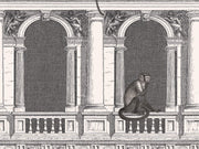 Cole & Son Fornasetti Senza Tempo Procuratie E Scimmie - 114/21041