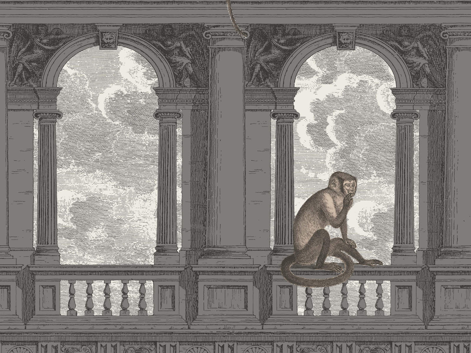 Cole & Son Fornasetti Senza Tempo Procuratie Con Vista - 114/8016