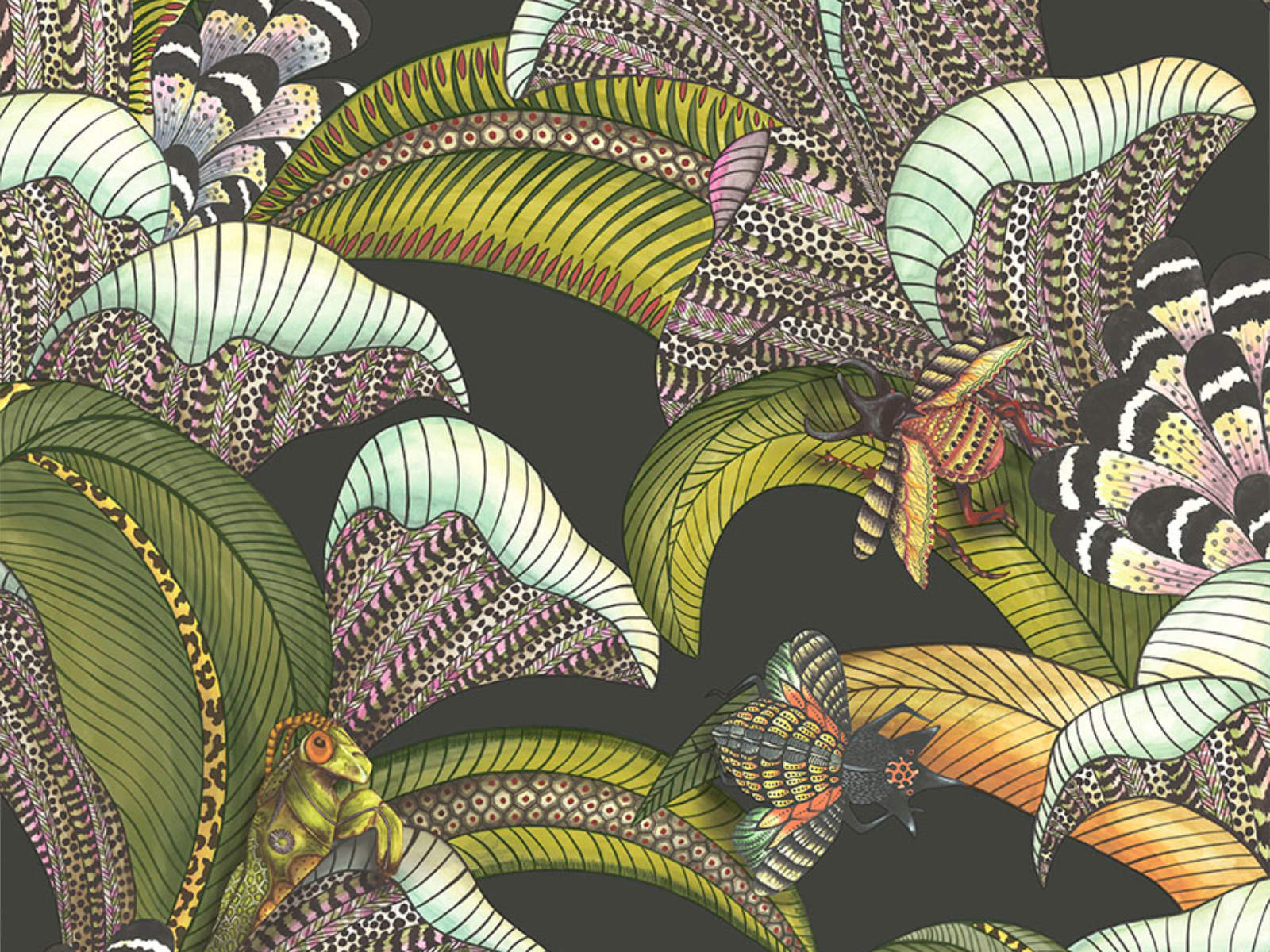 Cole & Son Ardmore Jabula Hoopoe Leaves - 119/1002