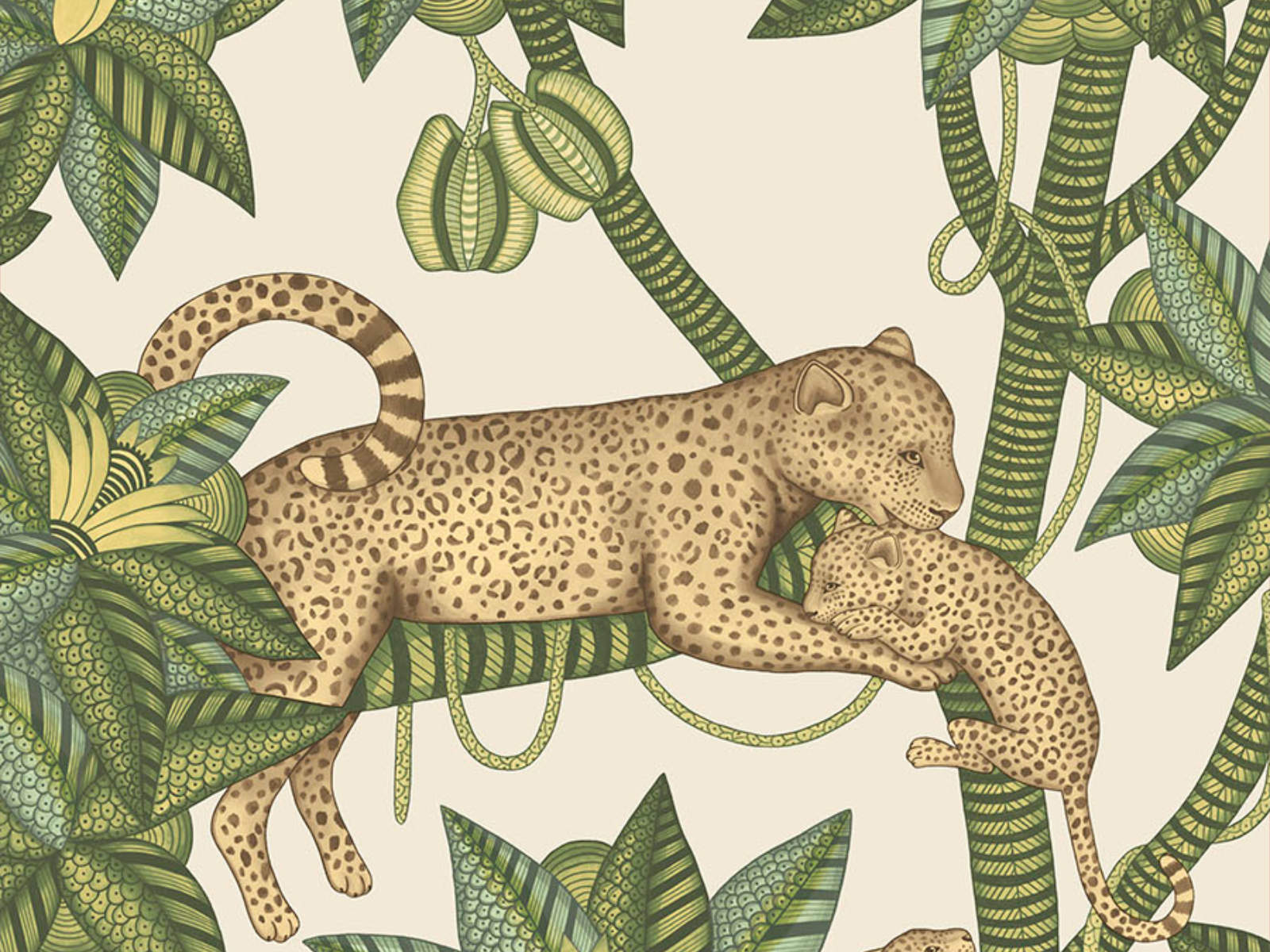 Cole & Son Ardmore Jabula Satara - 119/3015