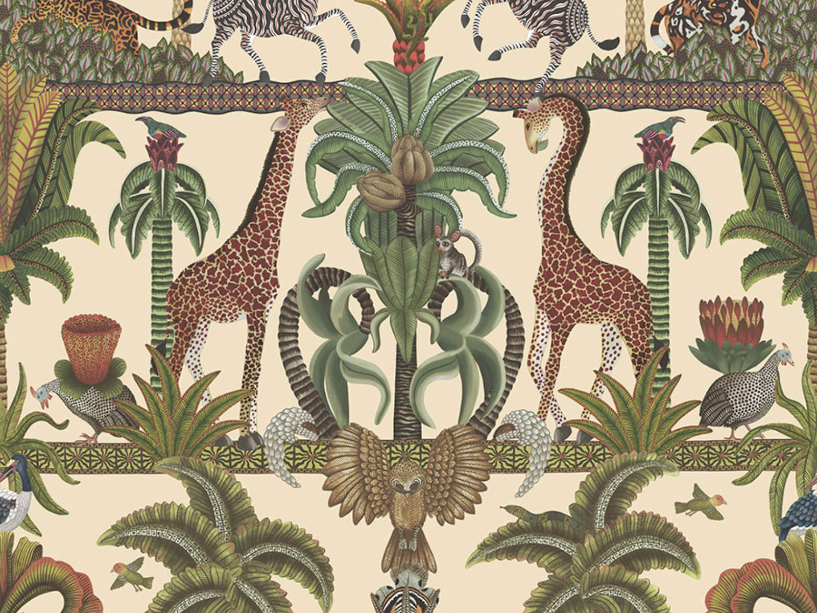 Cole & Son Ardmore Jabula Afrika Kingdom - 119/5026