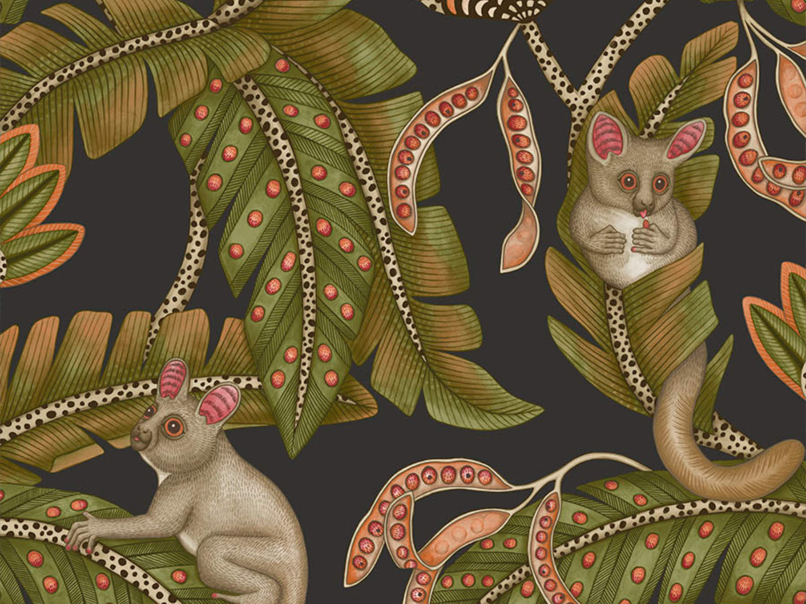 Cole & Son Ardmore Jabula Bush Baby - 119/7031