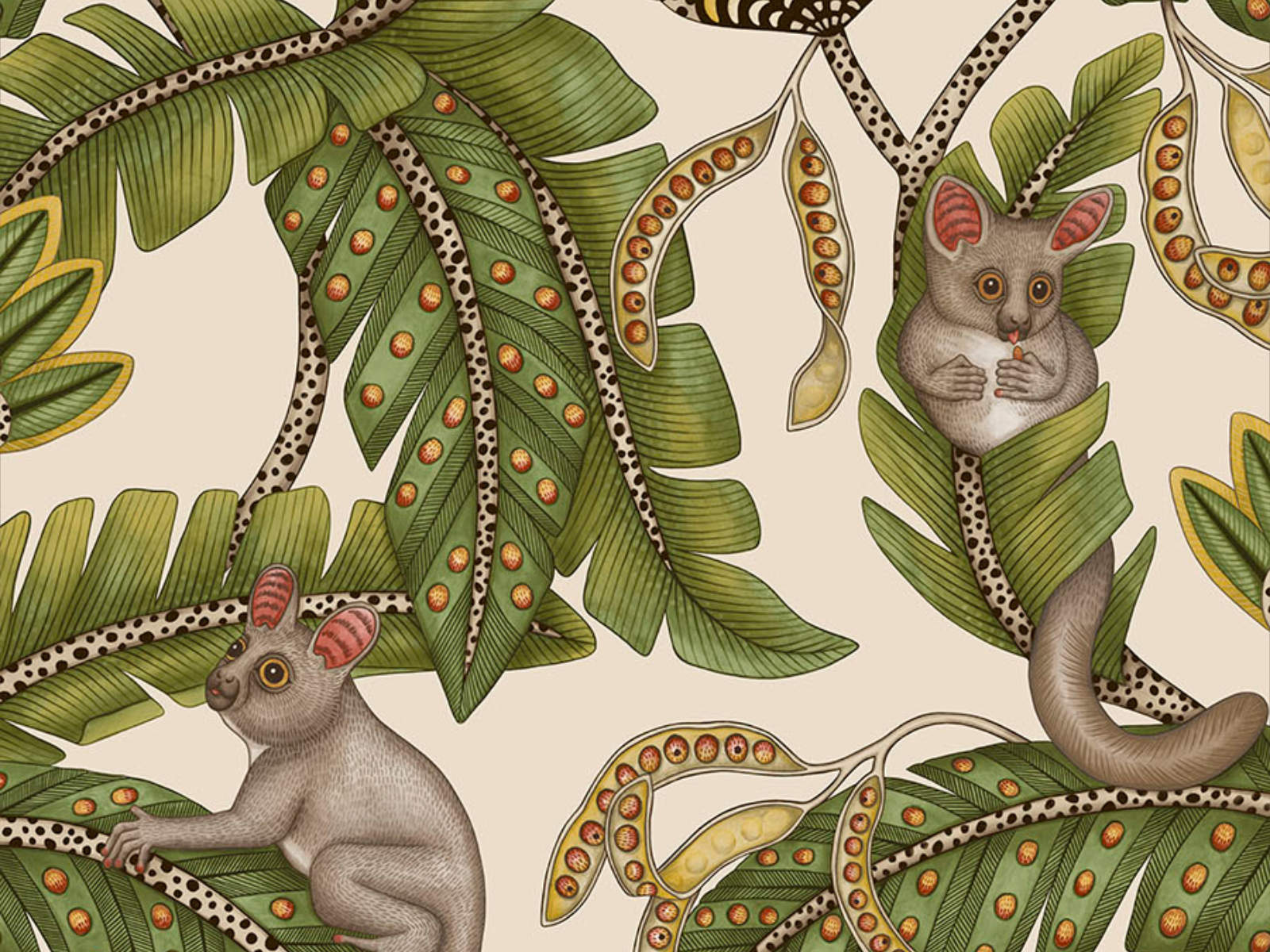 Cole & Son Ardmore Jabula Bush Baby - 119/7032