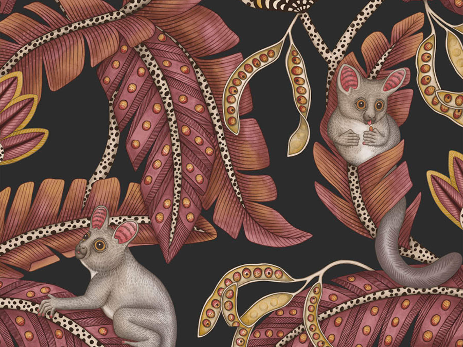 Cole & Son Ardmore Jabula Bush Baby - 119/7033