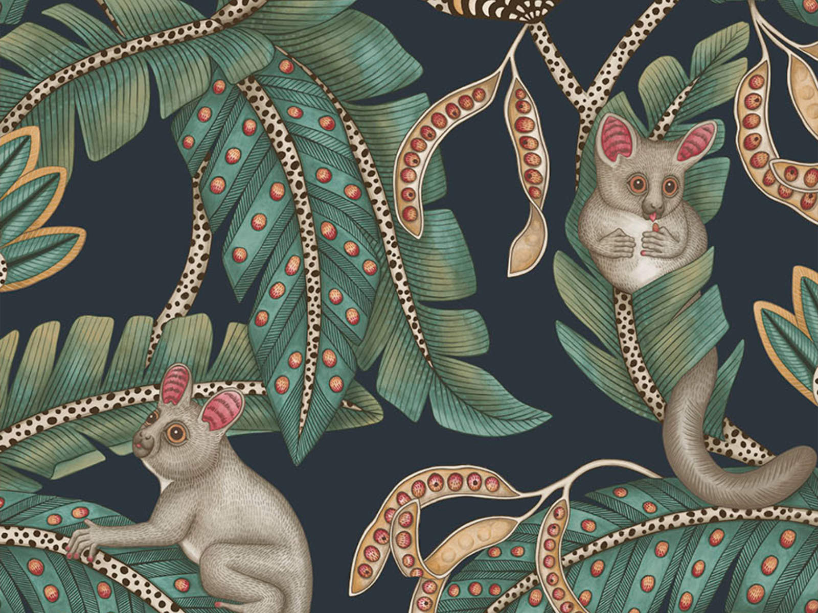 Cole & Son Ardmore Jabula Bush Baby - 119/7034